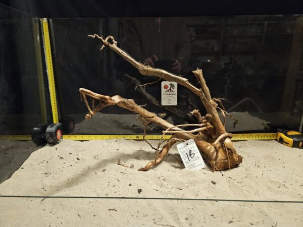 Tuskwood Aquascaping Root XXL Rootflow A 50-70cm nr18 A - Bild 3