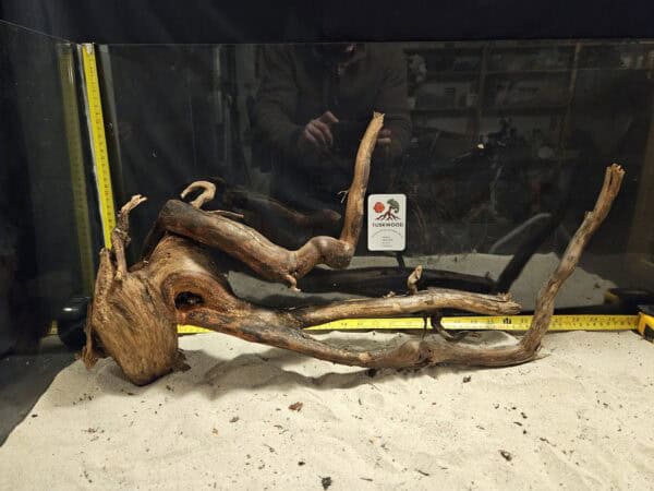 Tuskwood Aquascaping Root XXL Rootflow 50-70cm nr19 B - Bild 4