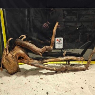 Tuskwood akvarierod i ægte mosetræ, 50-70 cm