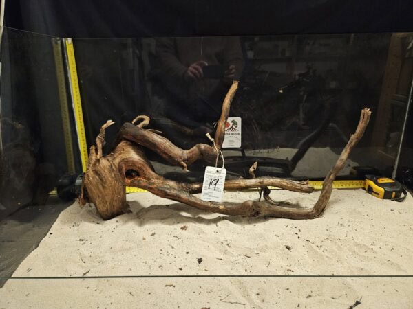 Tuskwood Aquascaping Root XXL Rootflow 50-70cm nr19 B