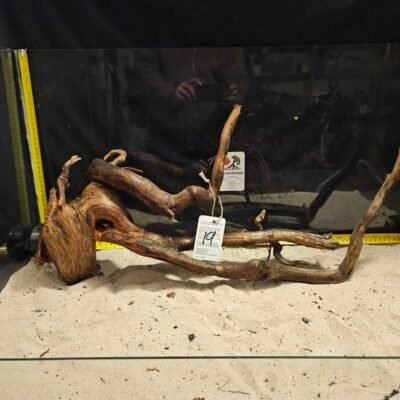 Tuskwood aquarium root in real bogwood, 50-70cm