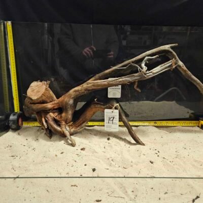 Tuskwood akvarierod i ægte mosetræ, 50-70 cm