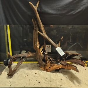 Unikt bogwood för aquascaping, handplockad och perfekt för akvarie- och terrariumdekorationer.