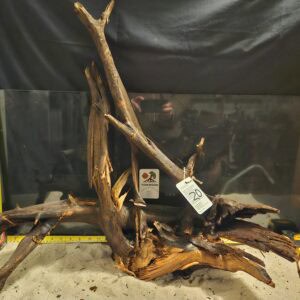 Unikt, naturligt rotträd för akvarium, perfekt för aquascaping och biologisk balans.