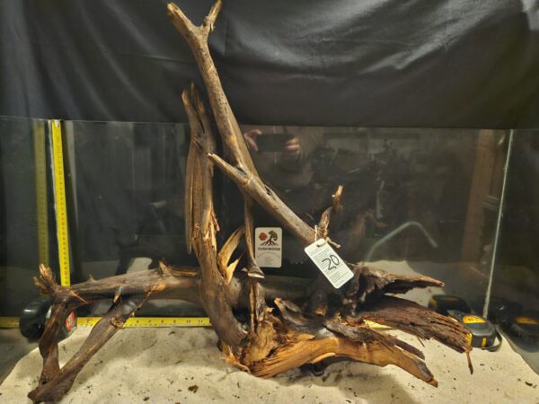 Unikt, naturligt rotträd för akvarium, perfekt för aquascaping och biologisk balans.