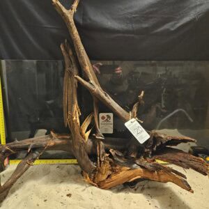 Detaljer av äkta bogwood för akvascaping och akvariedesign.