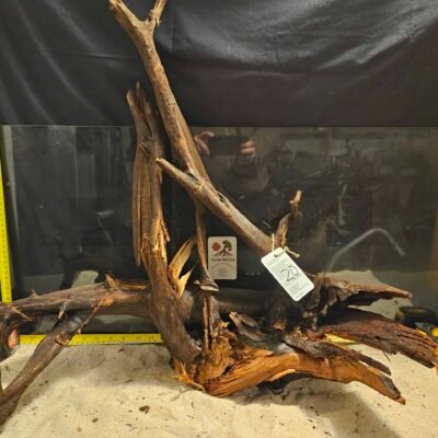 Detaljer av äkta bogwood för akvascaping och akvariedesign.