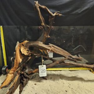 Elegant äkta bogwood för akvascaping, perfekt för naturliga akvarie- och sötvattensättningar.