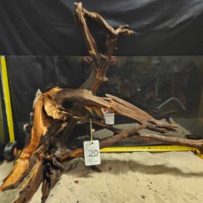 Elegant äkta bogwood för akvascaping, perfekt för naturliga akvarie- och sötvattensättningar.