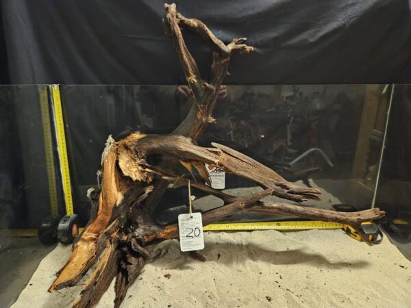 Elegant äkta bogwood för akvascaping, perfekt för naturliga akvarie- och sötvattensättningar.