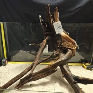 Unikt böjt bogwood för akvariefisk och aquascaping, perfekt för naturliga aquascapes och skönhet.