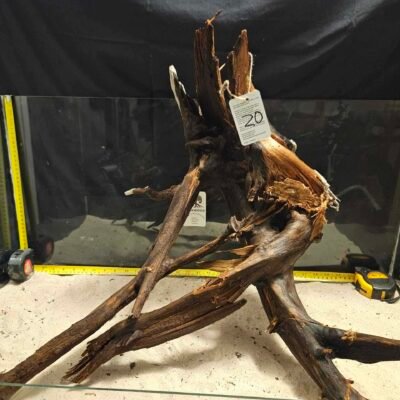Unikt böjt bogwood för akvariefisk och aquascaping, perfekt för naturliga aquascapes och skönhet.