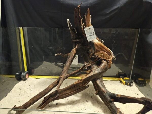 Unikt böjt bogwood för akvariefisk och aquascaping, perfekt för naturliga aquascapes och skönhet.