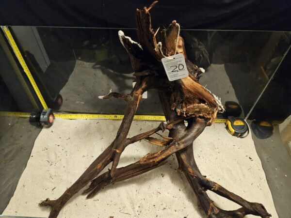 Tuskwood Aquascaping Root XXL Spider 50-70 nr20 - Bild 7