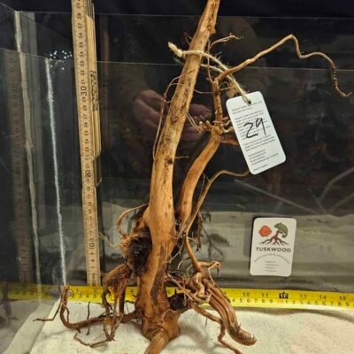 Tuskwood aquariumwortel in echt veenhout, 30-40 cm