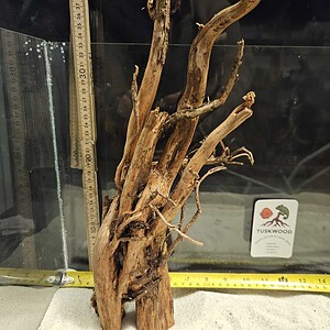 Tuskwood Aquascaping Root Bonsai Tree Style L (30-40 cm) 28