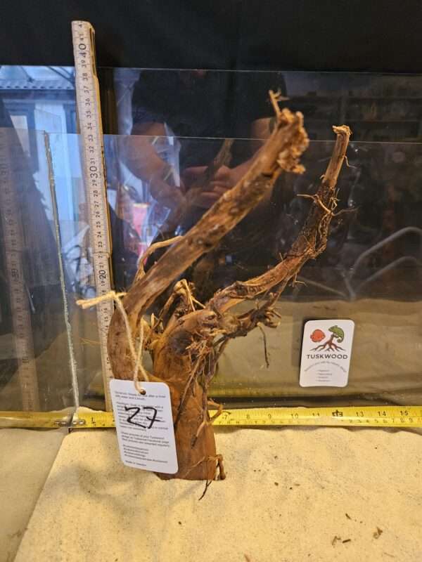 Tuskwood Aquascaping Root Bonsai Tree Style L (30-40 cm) 27