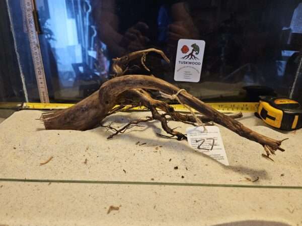 Tuskwood Aquascaping Root Bonsai Tree Style L (30-40 cm) 27 - Bild 3