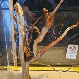 Tuskwood Aquascaping Root Bonsai Tree Style L (30-40 cm) 26