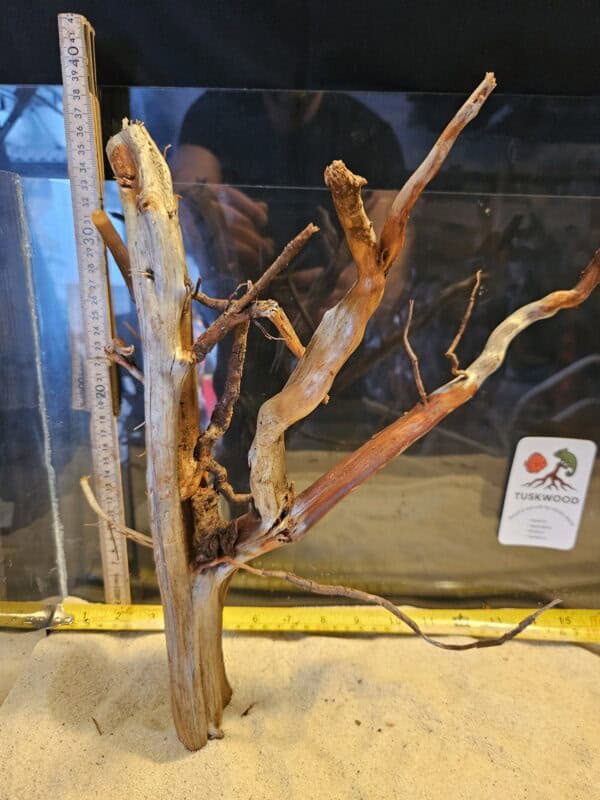 Tuskwood Aquascaping Root Bonsai Tree Style L (30-40 cm) 26
