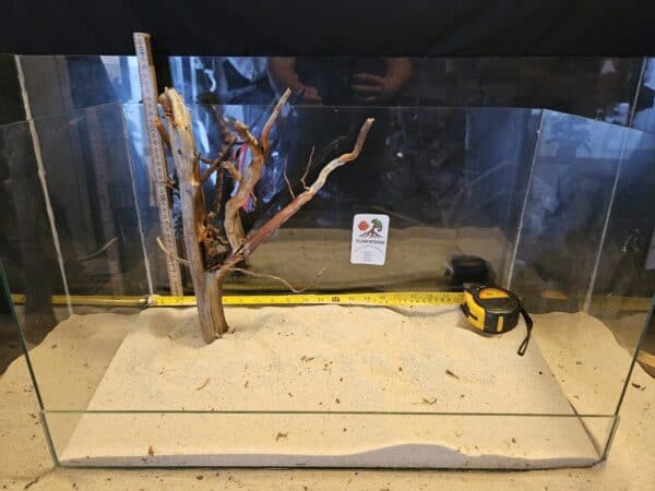 Tuskwood Aquascaping Root Bonsai Tree Style L (30-40 cm) 26 - Bild 3