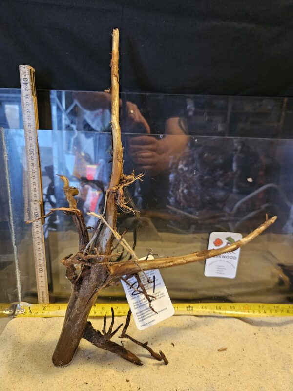 Tuskwood Aquascaping Root Bonsai Tree Style L (30-40 cm) 24