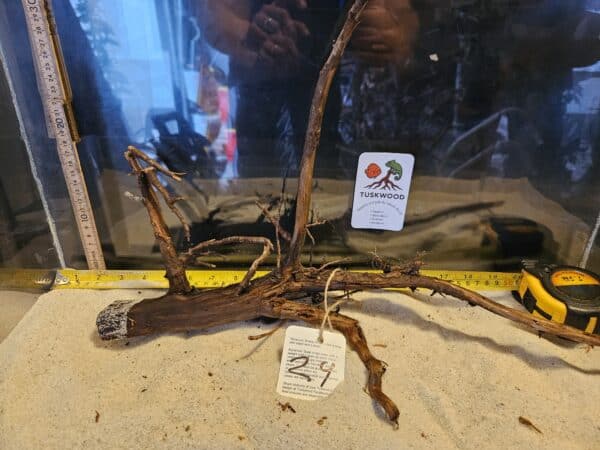 Tuskwood Aquascaping Root Bonsai Tree Style L (30-40 cm) 24 - Bild 2