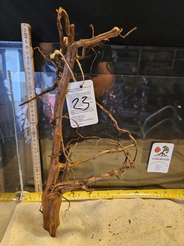 Tuskwood Aquascaping Root Bonsai Tree Style L (30-40 cm) 23