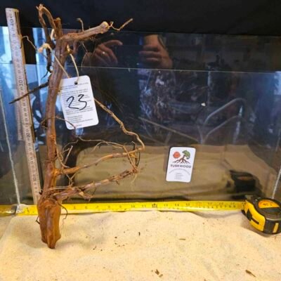 Tuskwood Aquarienwurzel aus echtem Moorholz, 30-40 cm