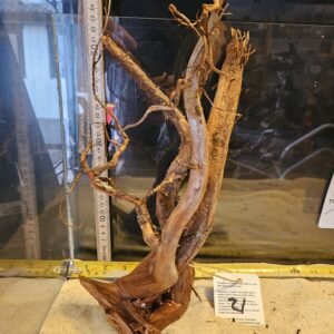 Tuskwood Aquascaping Root Bonsai Tree Style L (30-40 cm) 21