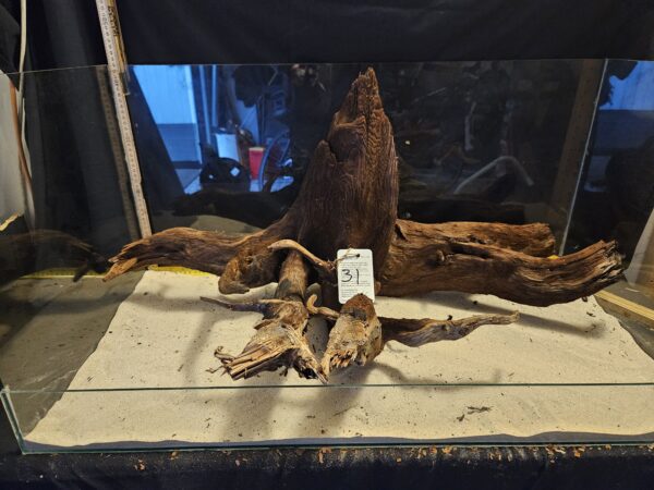 Tuskwood XXL Mega 60cm + nr31