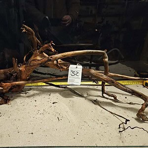 Tuskwood Aquascaping Root XXL Rootflow A 50-70cm nr32 A