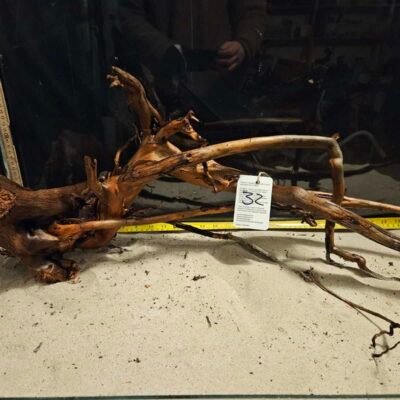 Tuskwood akvarierot i äkta bogwood, 50-70cm