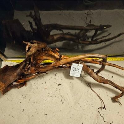 Tuskwood akvaariojuuri aidosta suopuusta, 50-70cm