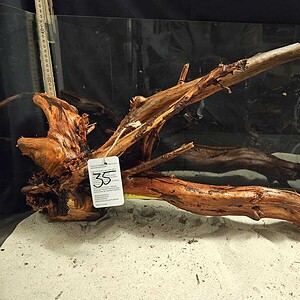 Tuskwood Aquascaping Root XXL Rootflow A 50-70cm nr35 A