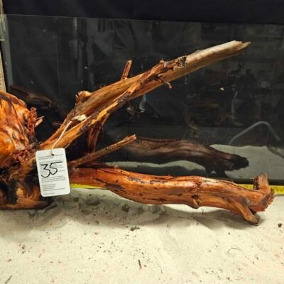 Tuskwood Racine d'aquarium en véritable tourbière, 50-70cm