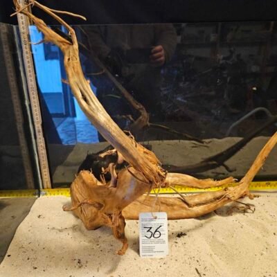 Tuskwood akvarierot i äkta bogwood, 40-50cm