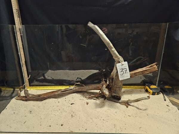 Tuskwood Aquascaping Root XXL Rootflow 50-70cm nr37 C