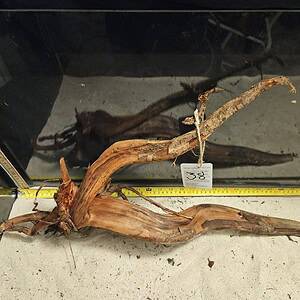 Tuskwood Aquascaping Root XXL Rootflow 50-70cm nr38 C