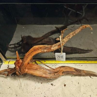 Tuskwood akvarierot i äkta bogwood, 50-70cm