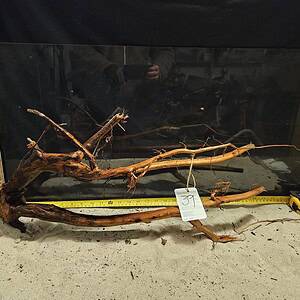 Tuskwood Aquascaping Root XXL Rootflow 50-70cm nr39 C