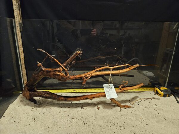 Tuskwood Aquascaping Root XXL Rootflow 50-70cm nr39 C