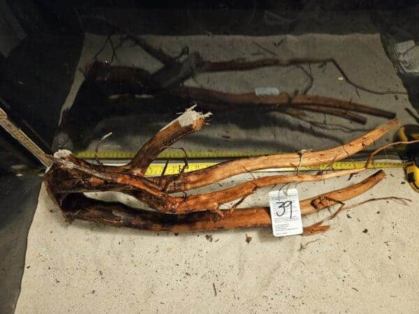 Tuskwood Aquascaping Root XXL Rootflow A 50-70cm nr39 A