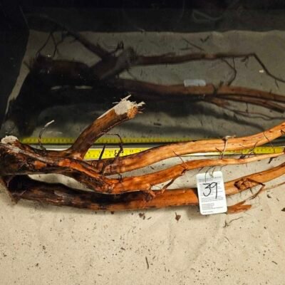 Tuskwood Aquarienwurzel aus echtem Moorholz, 50-70cm