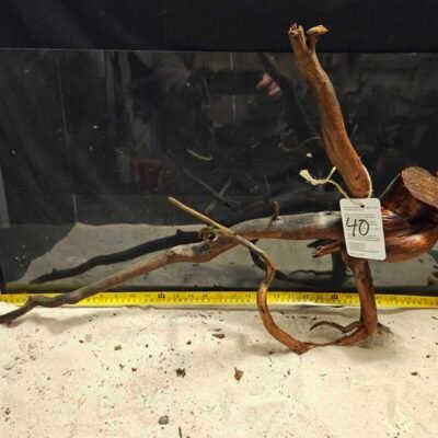 Tuskwood akvarierot i äkta bogwood, 50-70cm