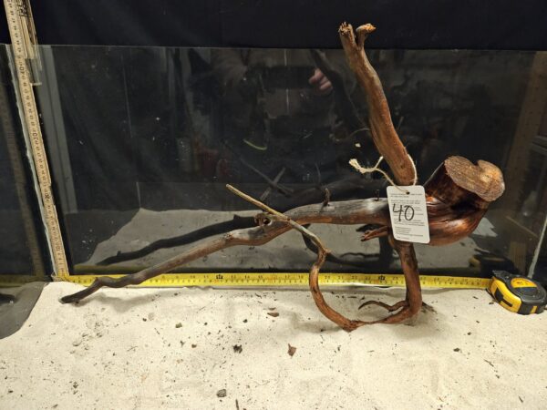 Tuskwood Aquascaping Root XXL Rootflow 50-70cm nr40 C