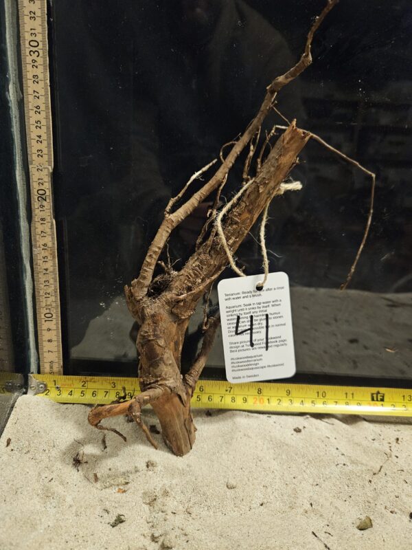 Tuskwood Aquascaping Root Bonsai Tree Style M 20-30 nr41
