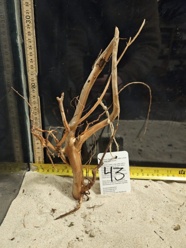 Tuskwood Aquascaping Root Bonsai Tree Style M 20-30 nr43