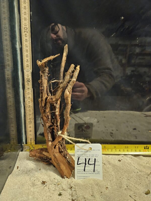 Tuskwood Aquascaping Root Bonsai Tree Style M 20-30 nr44