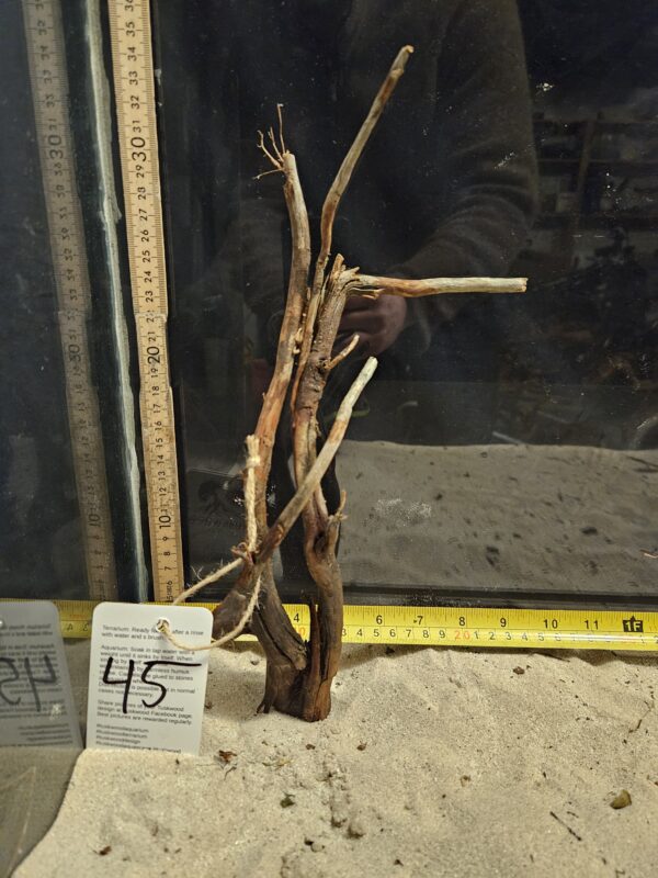 Tuskwood Aquascaping Root Bonsai Tree Style M 20-30 nr45
